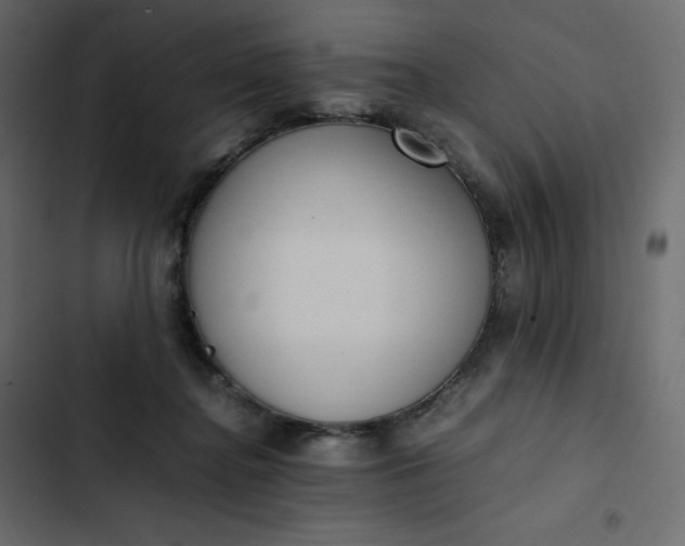 X0000102840364200809021342