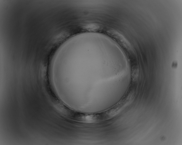 X0000102840365200809021342