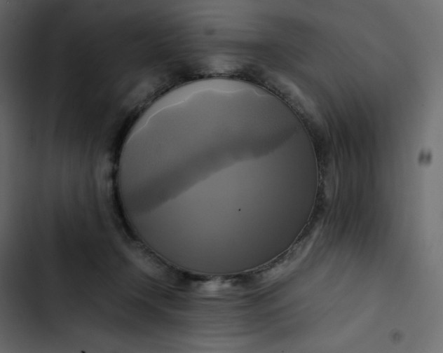 X0000102840366200809021342