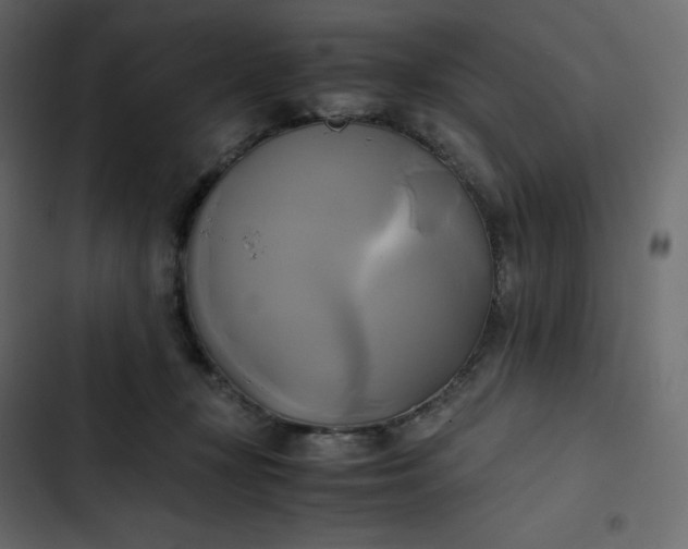 X0000102840367200809021342