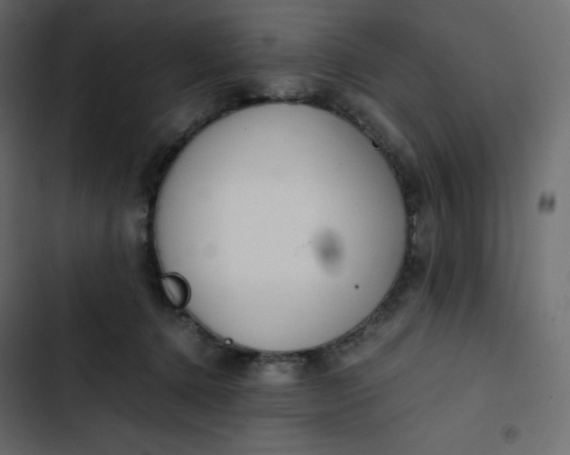 X0000102840368200809021342