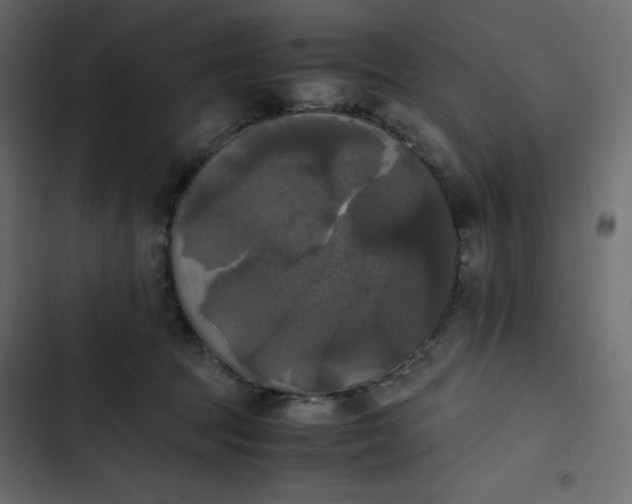 X0000102840369200809021342