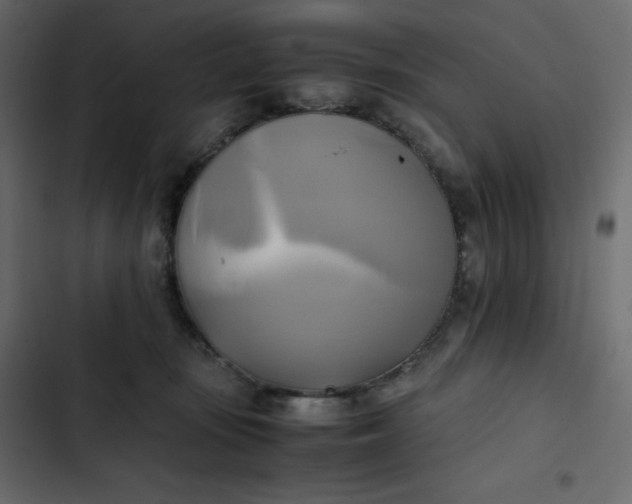 X0000102840371200809021342