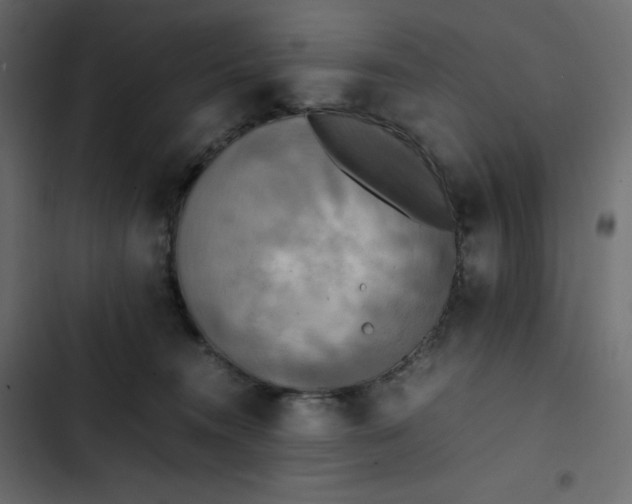 X0000102840372200809021342