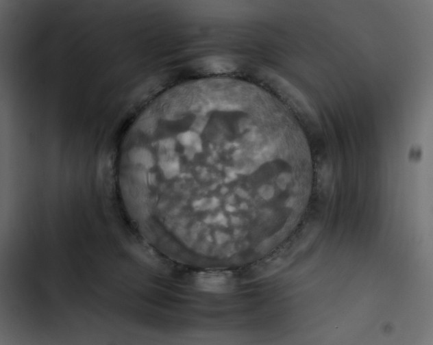 X0000102840373200809021342