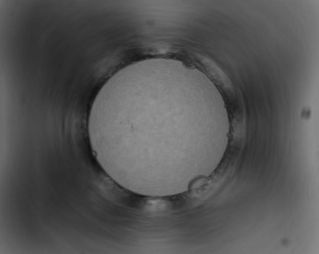 X0000102840376200809021342