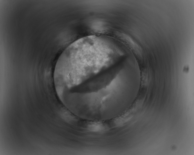 X0000102840377200809021342