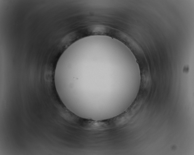 X0000102840379200809021342