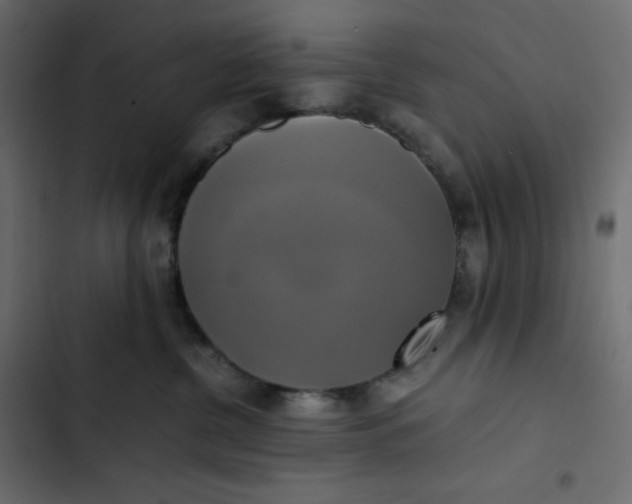 X0000102840380200809021342