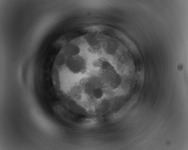 X0000102840381200809021342