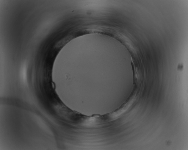 X0000102840382200809021342