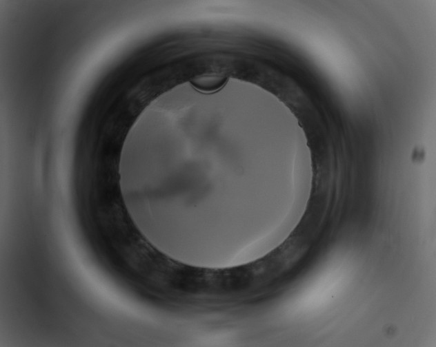 X0000102840383200809021342