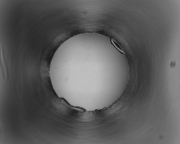 X0000102840384200809021342