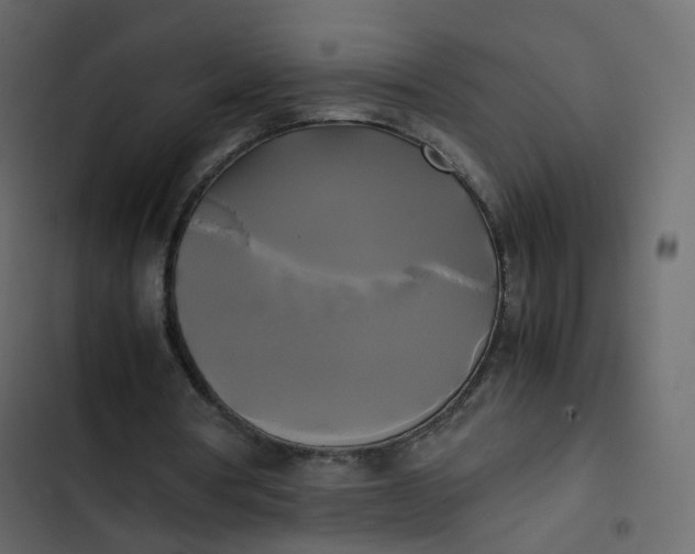 X0000102840386200809021342