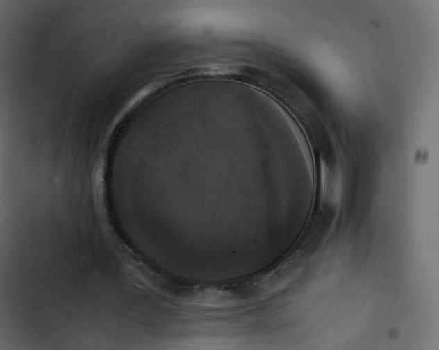 X0000102840387200809021342