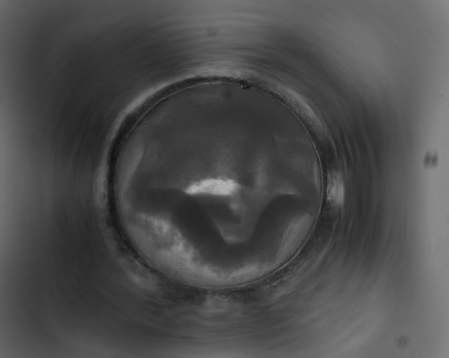 X0000102840388200809021342