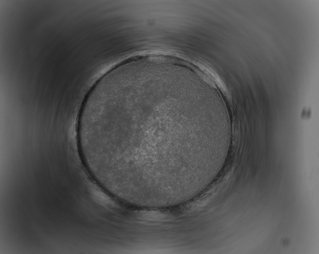 X0000102840389200809021342