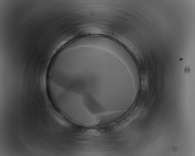 X0000102840390200809021342