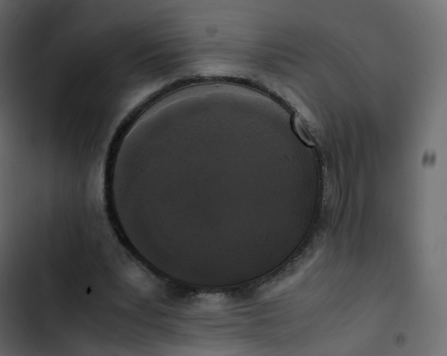 X0000102840391200809021342