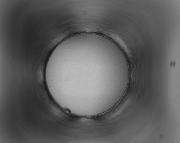 X0000102840393200809021342