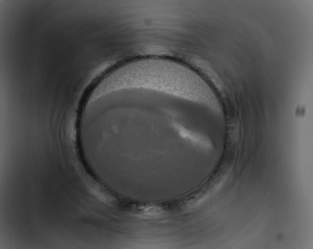 X0000102840395200809021342