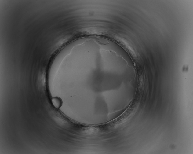 X0000102840398200809021341