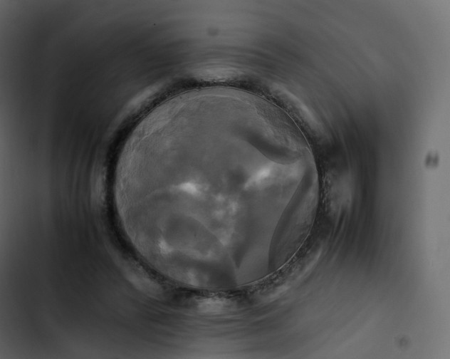 X0000102840400200809021341