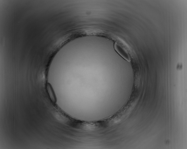 X0000102840405200809021341