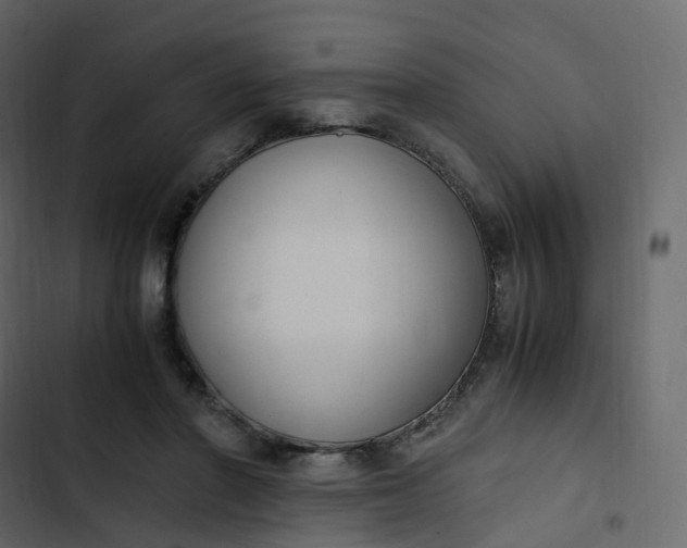 X0000102840406200809021341