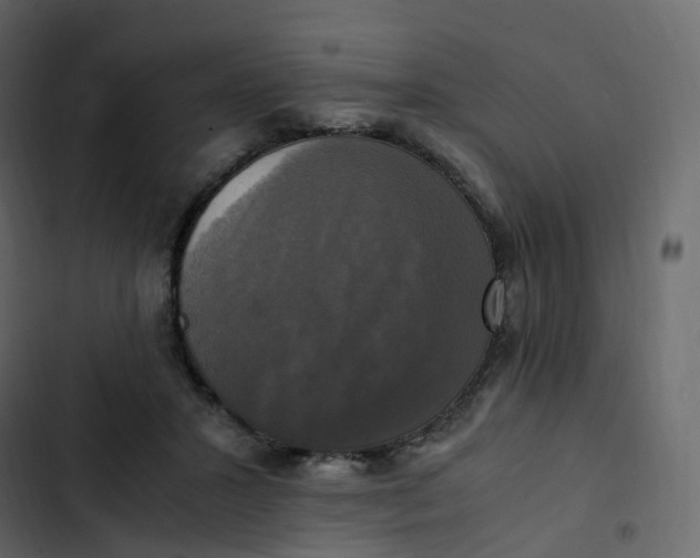 X0000102840407200809021341