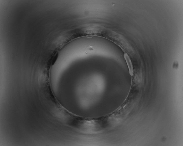 X0000102840411200809021341