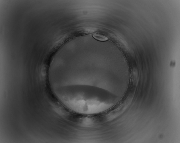 X0000102840412200809021341