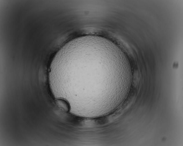 X0000102840413200809021341