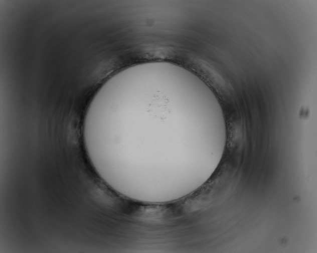 X0000102840414200809021341