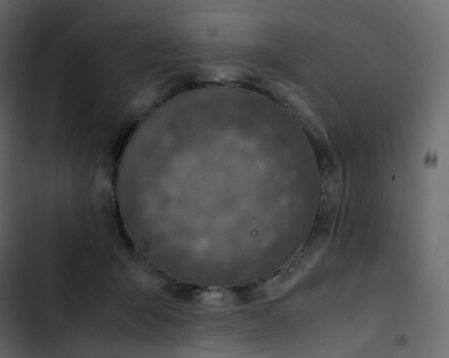 X0000102840415200809021341