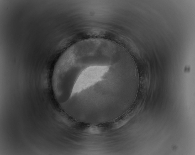 X0000102840416200809021341