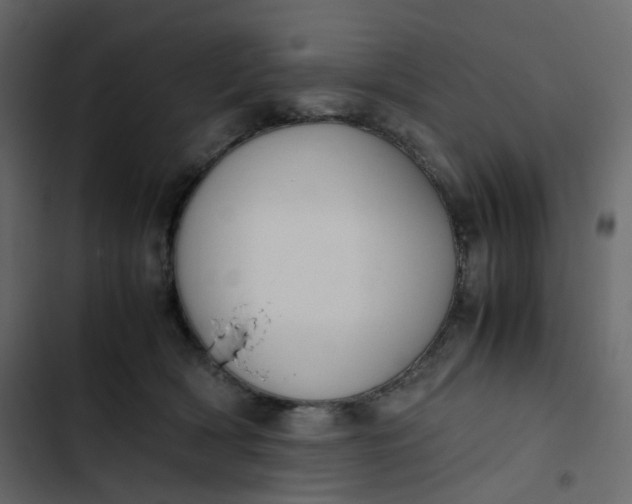 X0000102840418200809021341