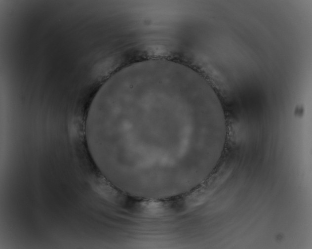 X0000102840419200809021341