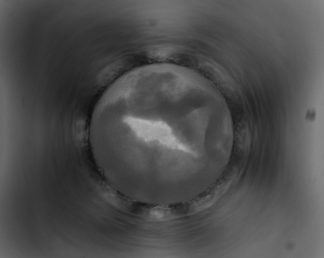 X0000102840420200809021341