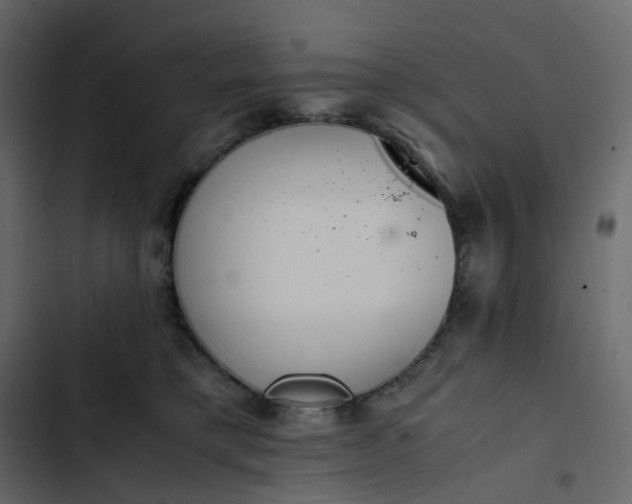 X0000102840421200809021341