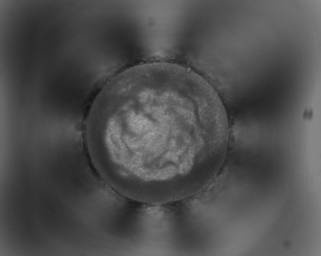 X0000102840423200809021341