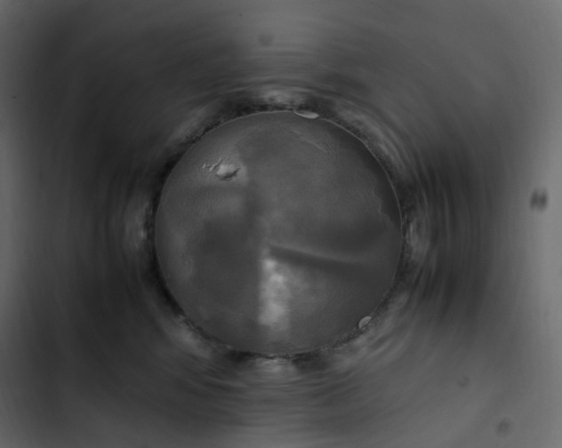 X0000102840424200809021341