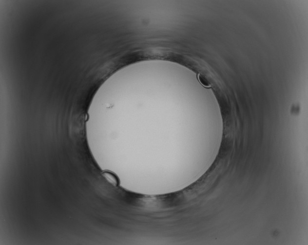 X0000102840425200809021341