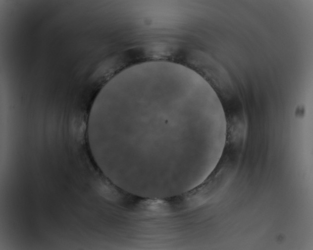 X0000102840427200809021341