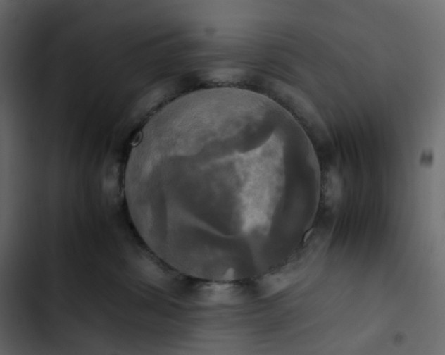 X0000102840428200809021341