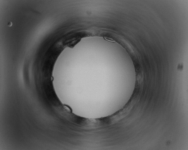 X0000102840429200809021341