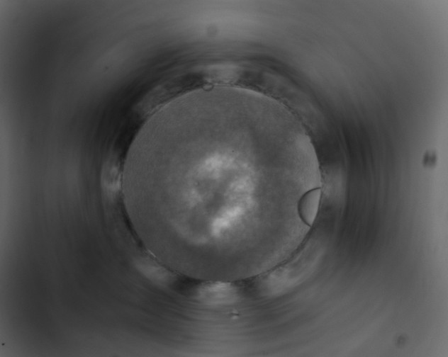 X0000102840431200809021341