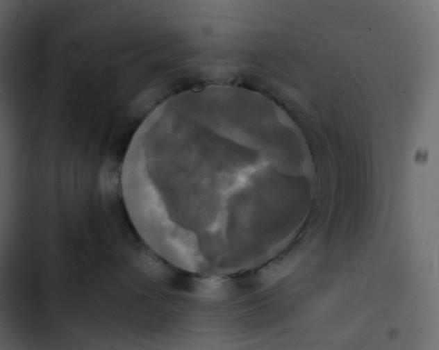 X0000102840432200809021341