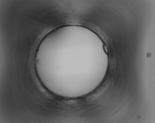 X0000102840433200809021340