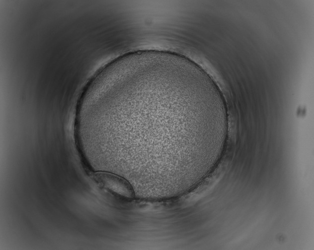 X0000102840434200809021340